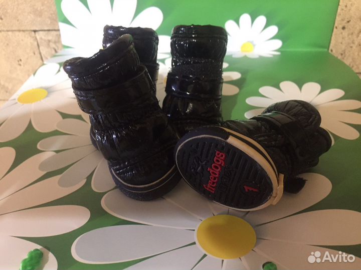 Обувь для маленьких собак