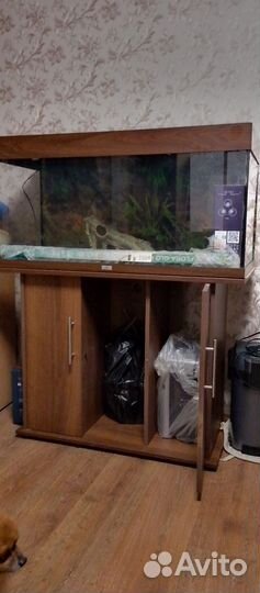 Аквариум(террариум) с тумбой juwel бу