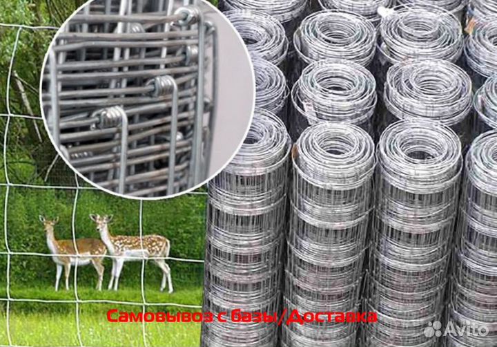 Сетка фермерская шарнирная 50м