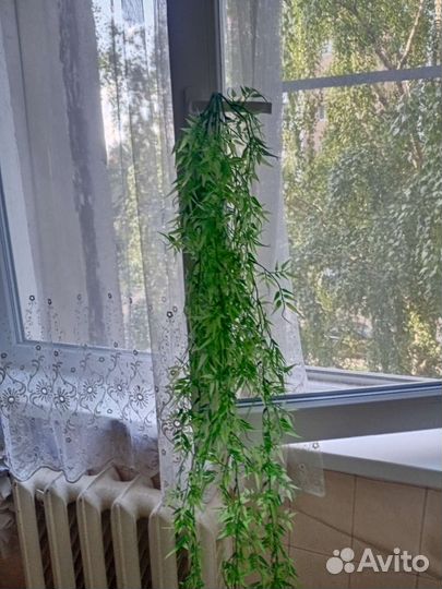 Корзинка из лозы с зеленью