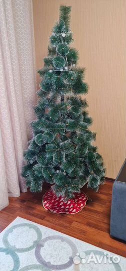 Сосна новогодняя