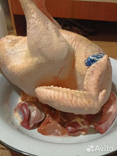 Мясо домашней индейки