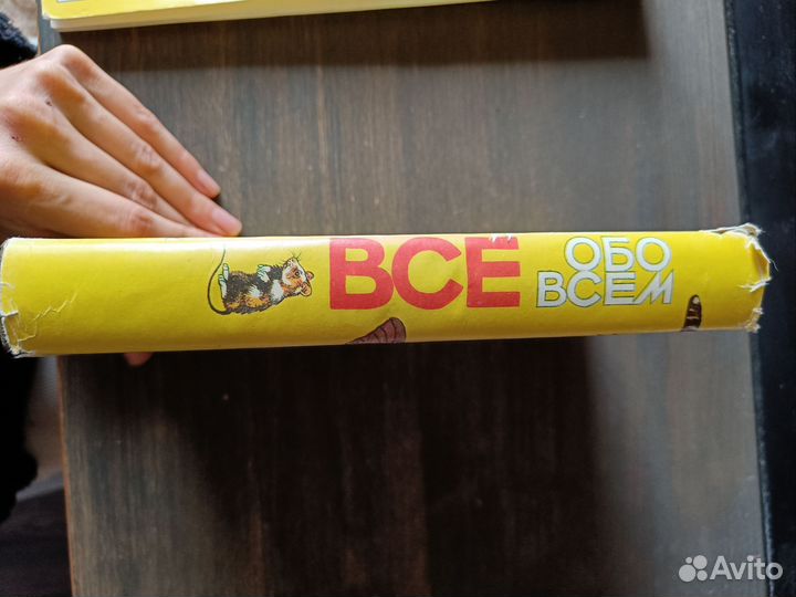 Всё обо всем