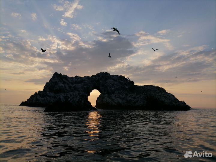 Морские прогулки на катере камчатка