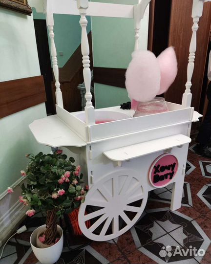 Сладкая вата и попкорн. Сказочная карета