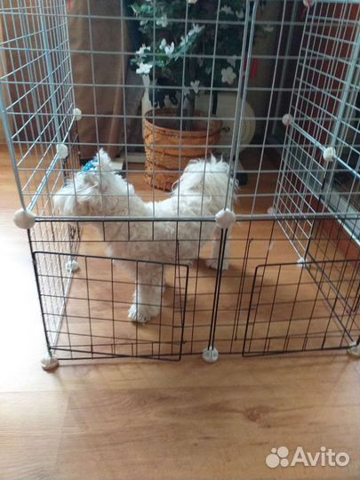 Клетка-трансформер