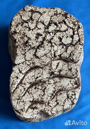 Товары для аквариума