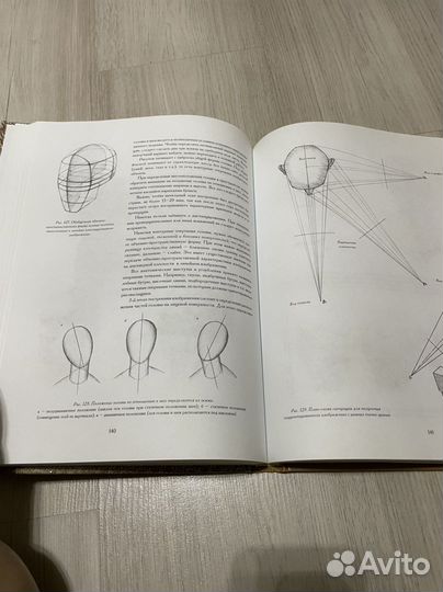 Голова человека рисунок Ли