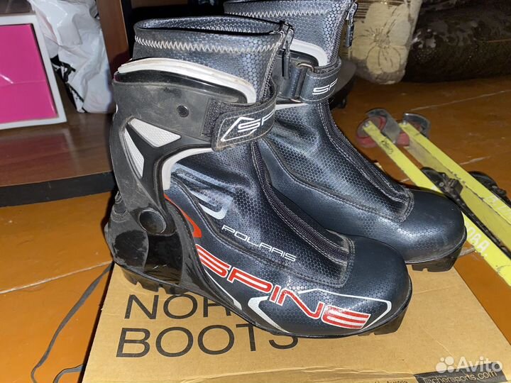 Лыжные ботинки spine