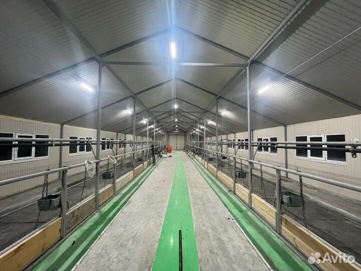 Автоматическое освещение коровников, ферм