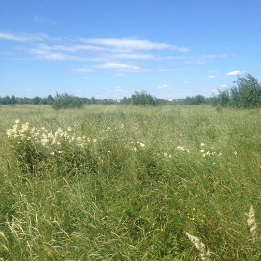 Участок 4,2 га (СНТ, ДНП)