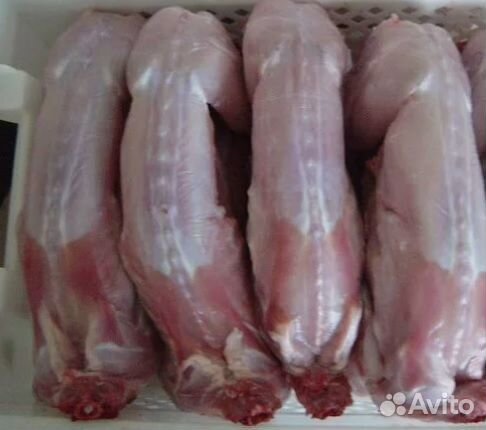 Продам мясо кролика