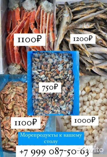 Свежая рыба морепродукты