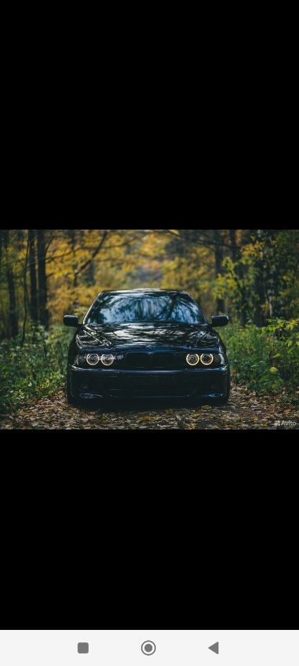 BMW 5 серия: фото владельца