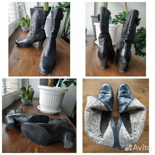Сапоги демисезонные, ботильоны