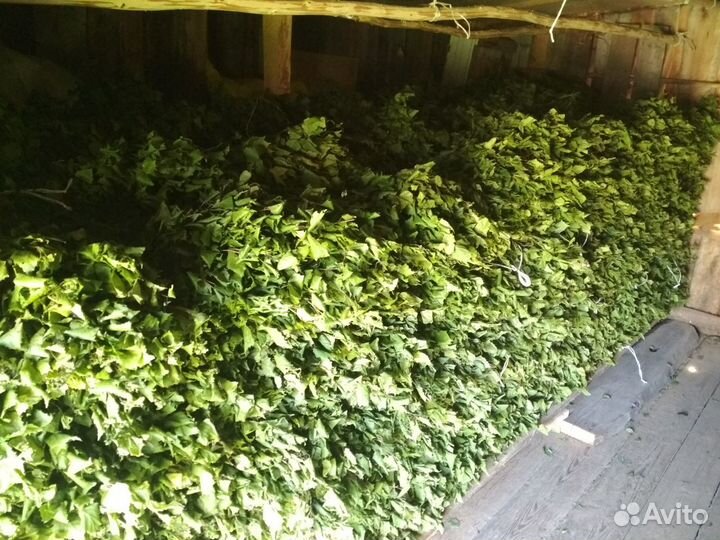 Берёзовые,дубовые веники