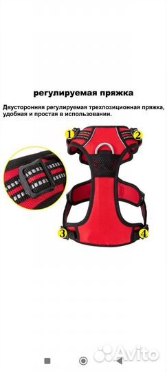 Шлейка для собаки