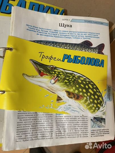 Журналы о рыбалке