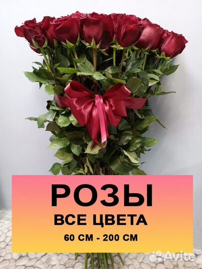 Розы, 101 роза, цветы с доставкой