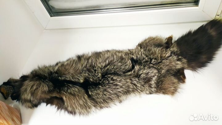 Мех чернобурки (2 шкурки)