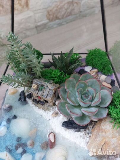 Флорариум с суккулентами