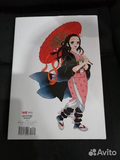 The Art of Demon Slayer: Kimetsu no Yaiba