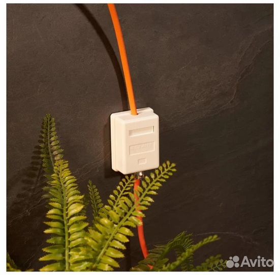 Компьютерная розетка rexant, 1 RJ-45, CAT5e, 03-01