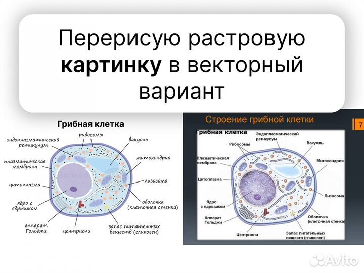 Карточки WB, Презентации, Оформление соц. сетей