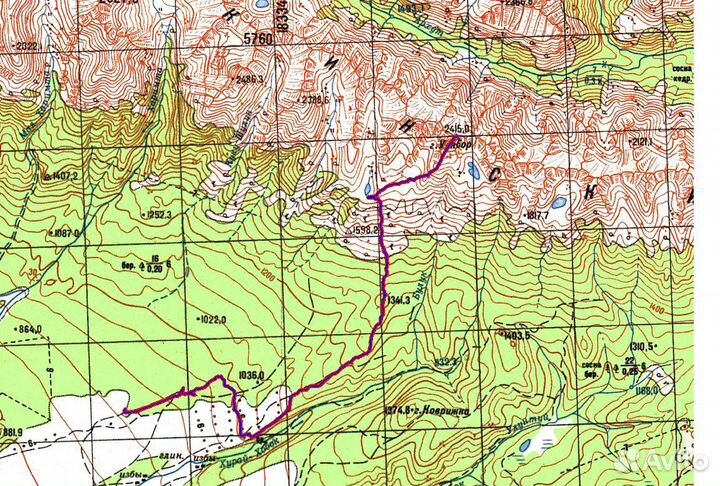 Конные прогулки в аршане