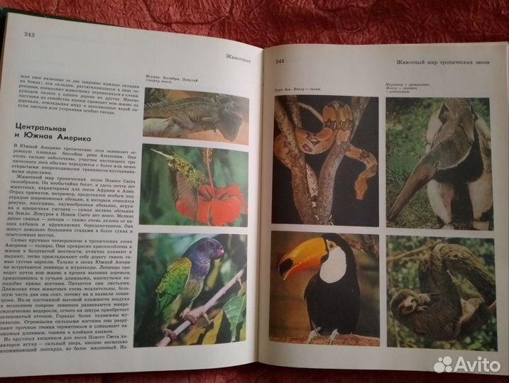 Детская советская энциклопедия