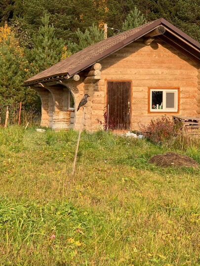 Дом 30 м² на участке 6 сот.
