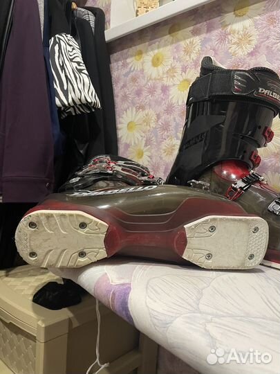 Горнолыжные ботинки dalbello