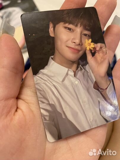 Карточка stray kids чонин