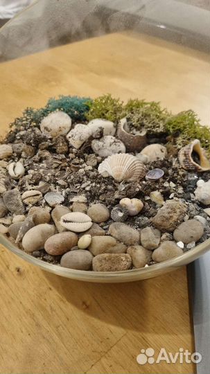 Ваза / флорариум