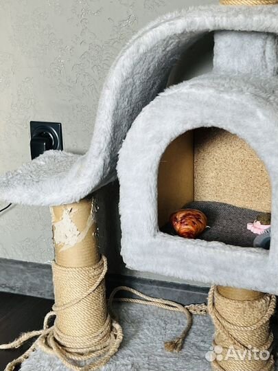 Когтеточка домик для кошки