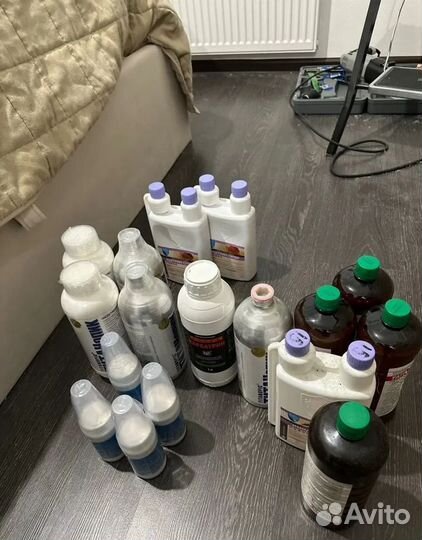 Дезинфекция дезинсекция