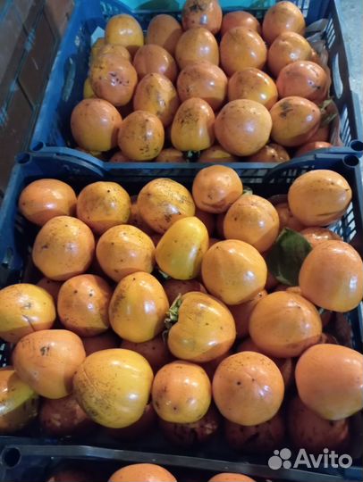 Хурма бычье сердце