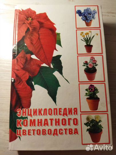 Энциклопедия комнатного цветоводства