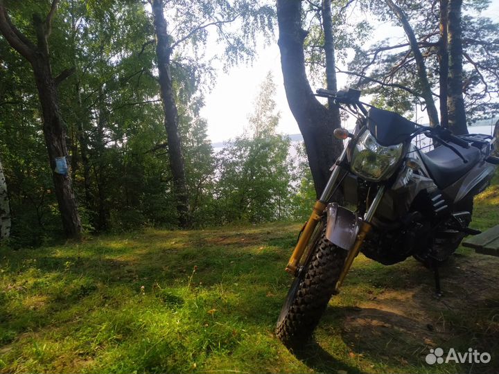 Racer Forester RC200LT