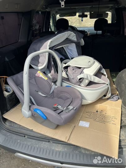 Коляска anex sport 3 в 1