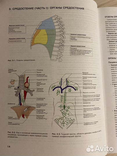 Наглядная анатомия О.Фейца, Д.Моффета