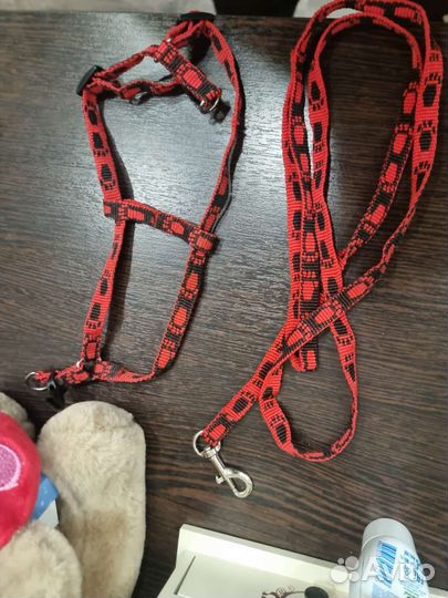 Шлейка и ошейник для собаки маленьких пород шпиц