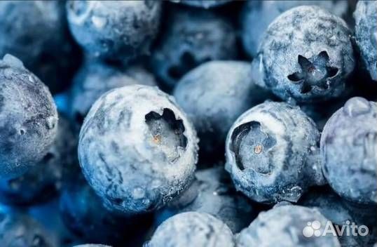 Голубика замороженная