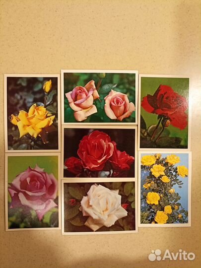 Винтажные советские открытки с розами