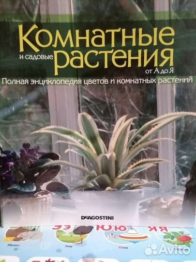 Энциклопедия комнатные и садовые растения