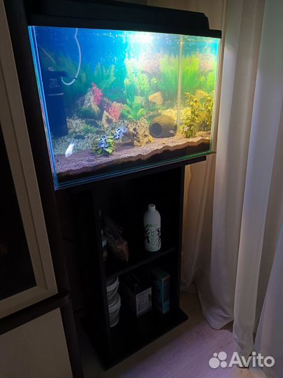 Аквариум