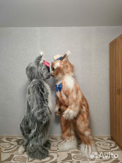 Аниматоры / Котики на праздник, выписку, др