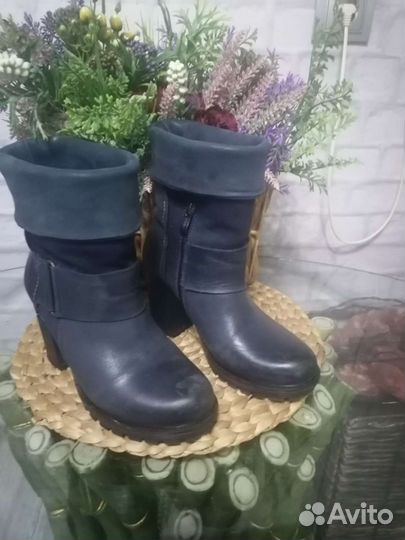 Сапоги натуральная кожа замша