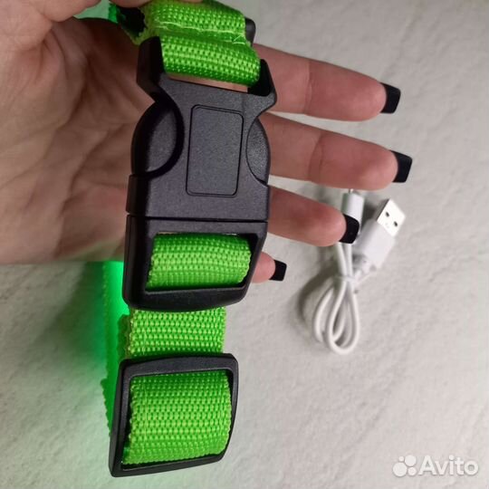 Светящийся ошейник для собак