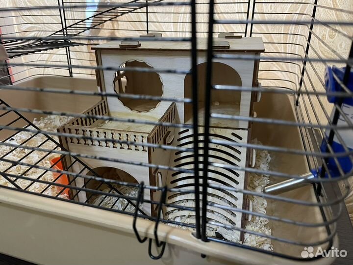 Крысы с клеткой